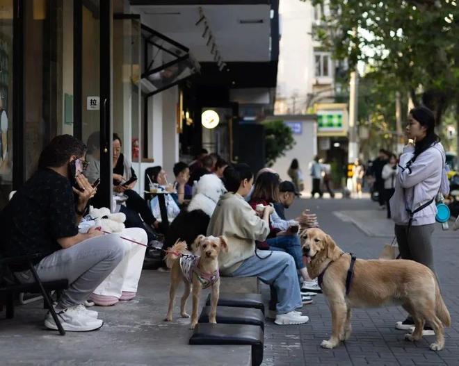 弃了双11爱上了“老年严选”AG旗舰厅网这届脆皮年轻人抛(图8)