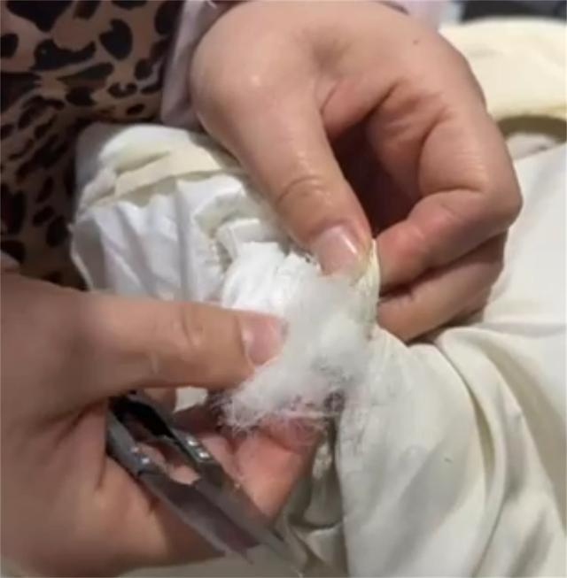 绒服填充物为飞丝目前商家已全额退款AG旗舰厅平台女子称500元买鸭