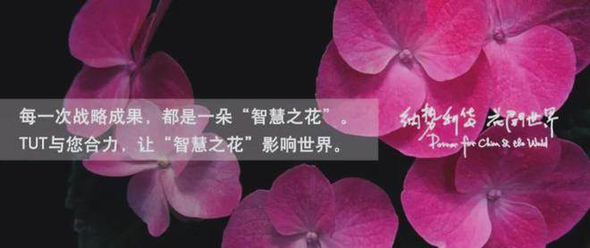 KEA）的全球化历程、品牌战略与启示AG旗舰厅从小镇走向世界 宜家（I(图6)
